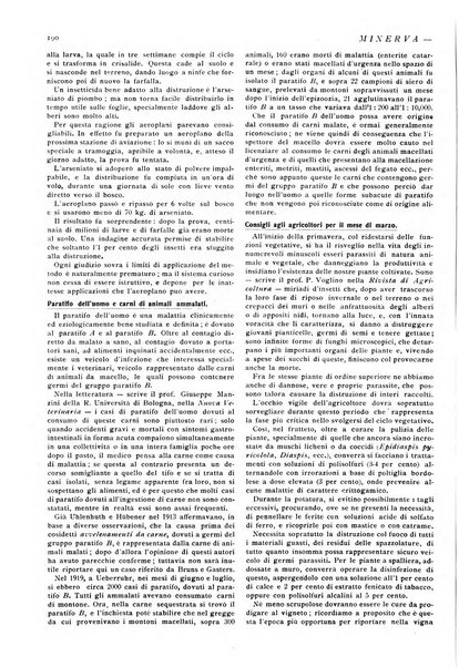 Minerva rassegna internazionale