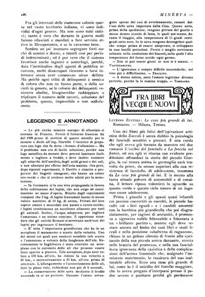 Minerva rassegna internazionale