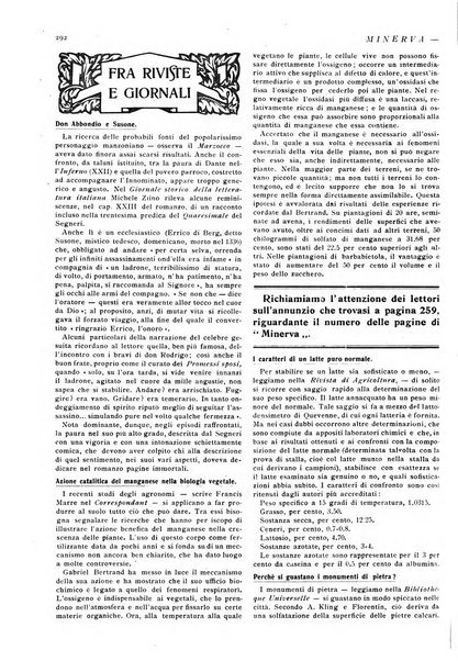 Minerva rassegna internazionale