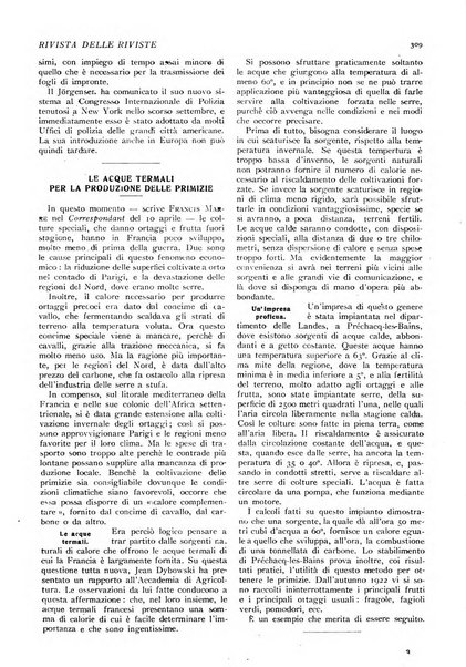 Minerva rassegna internazionale