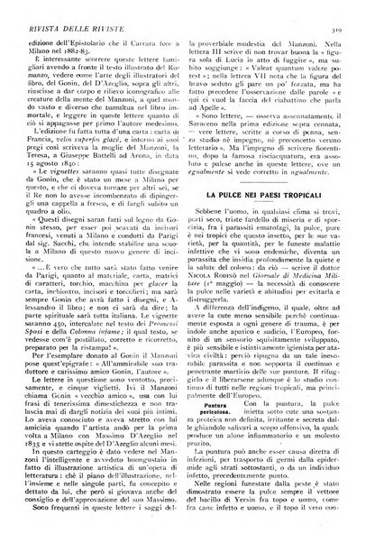 Minerva rassegna internazionale