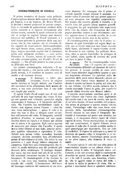 Minerva rassegna internazionale