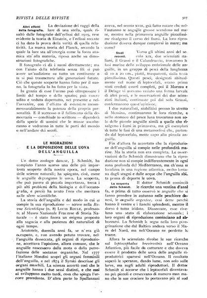 Minerva rassegna internazionale