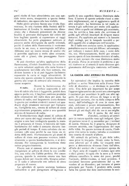 Minerva rassegna internazionale