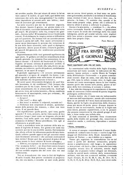 Minerva rassegna internazionale