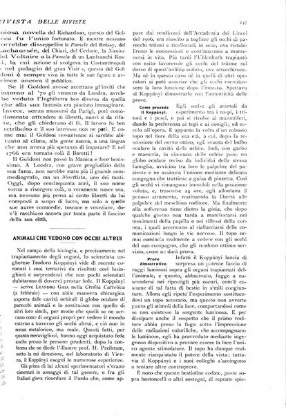 Minerva rassegna internazionale