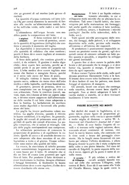 Minerva rassegna internazionale