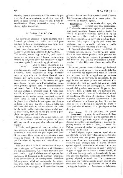 Minerva rassegna internazionale