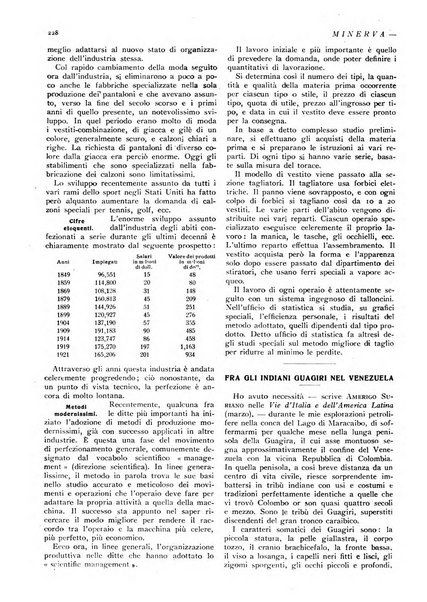 Minerva rassegna internazionale