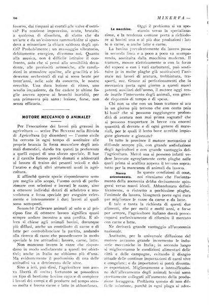 Minerva rassegna internazionale