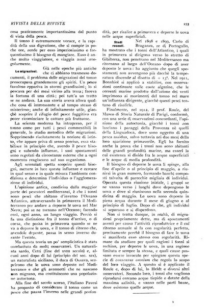 Minerva rassegna internazionale