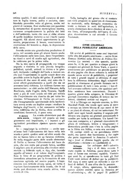 Minerva rassegna internazionale