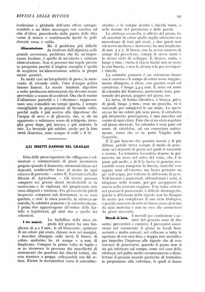 Minerva rassegna internazionale