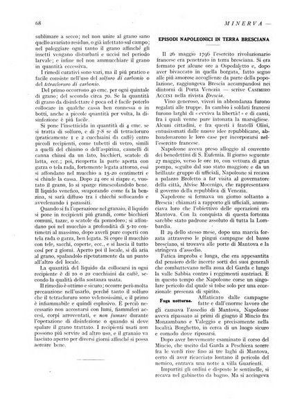 Minerva rassegna internazionale