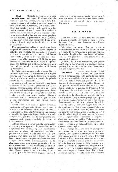 Minerva rassegna internazionale