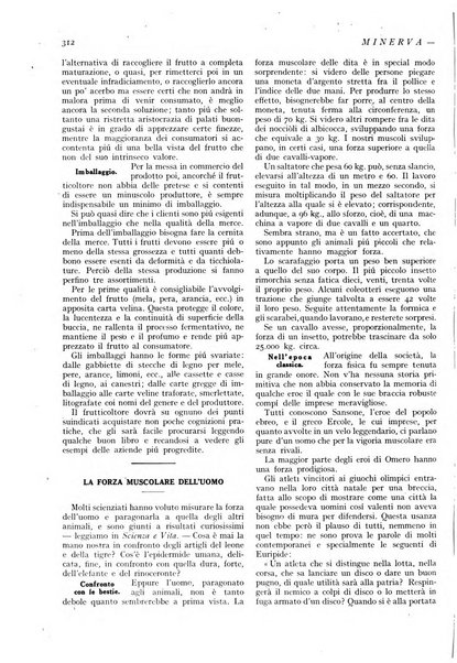 Minerva rassegna internazionale