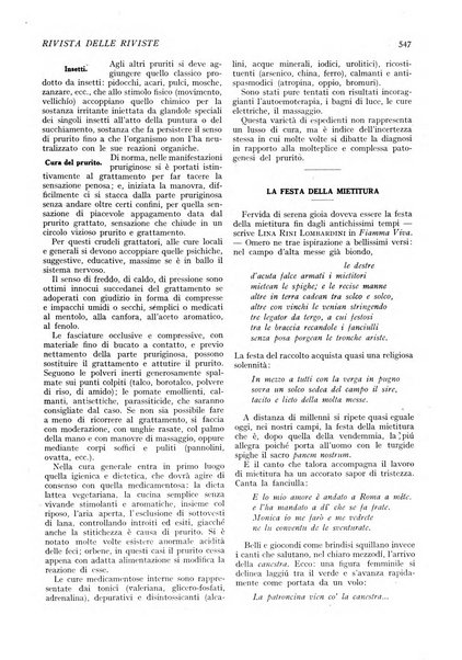 Minerva rassegna internazionale