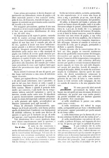 Minerva rassegna internazionale