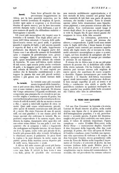 Minerva rassegna internazionale