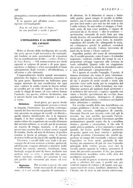 Minerva rassegna internazionale