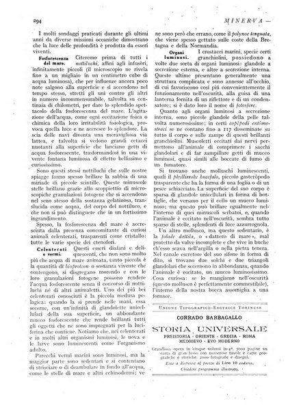 Minerva rassegna internazionale