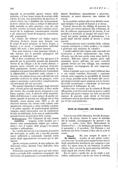 Minerva rassegna internazionale