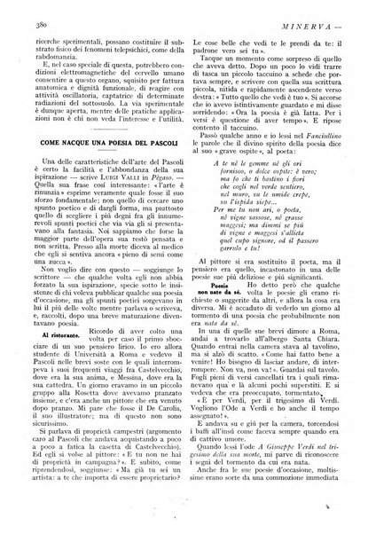 Minerva rassegna internazionale