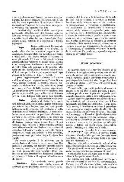 Minerva rassegna internazionale