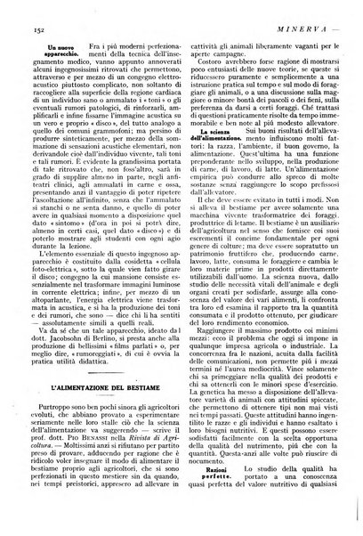 Minerva rassegna internazionale