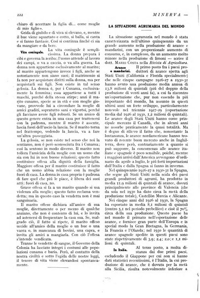 Minerva rassegna internazionale