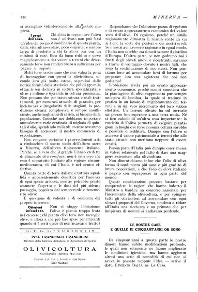 Minerva rassegna internazionale