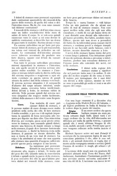 Minerva rassegna internazionale