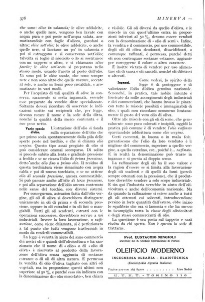 Minerva rassegna internazionale