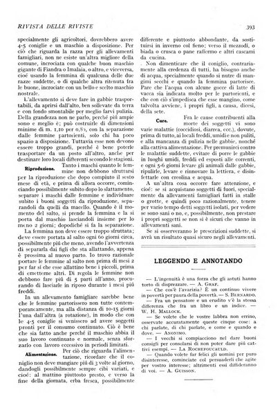 Minerva rassegna internazionale