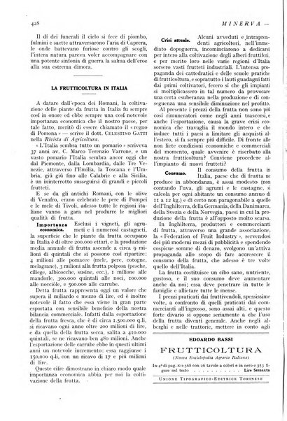 Minerva rassegna internazionale