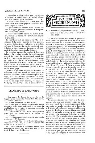 Minerva rassegna internazionale