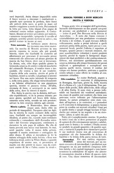 Minerva rassegna internazionale