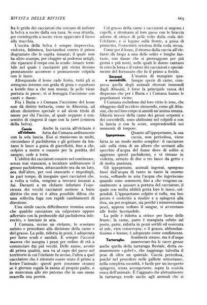 Minerva rassegna internazionale