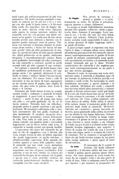 Minerva rassegna internazionale