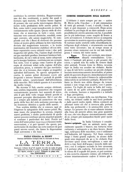 Minerva rassegna internazionale