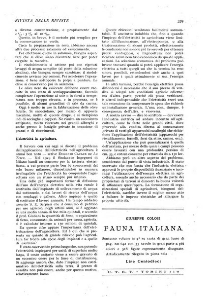 Minerva rassegna internazionale