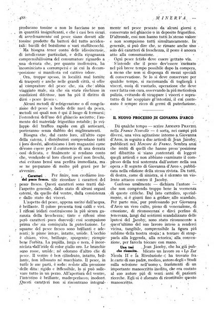 Minerva rassegna internazionale