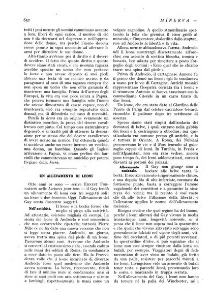 Minerva rassegna internazionale