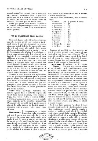 Minerva rassegna internazionale