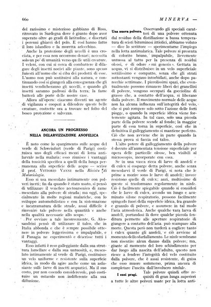 Minerva rassegna internazionale