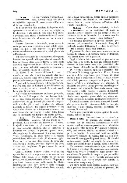 Minerva rassegna internazionale