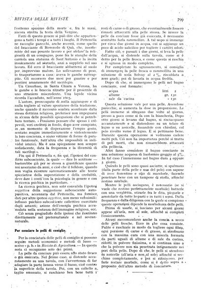 Minerva rassegna internazionale