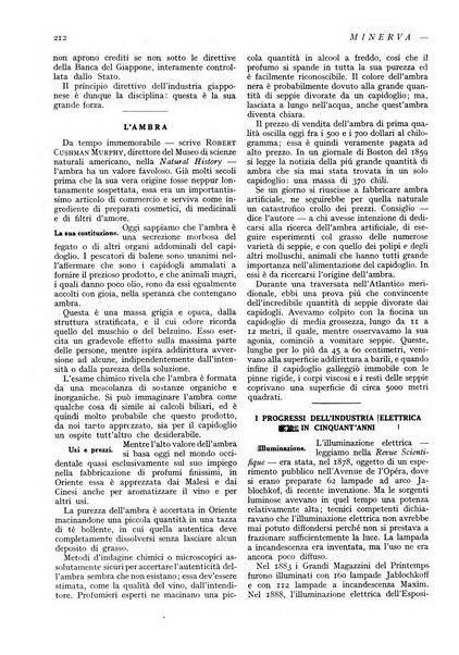 Minerva rassegna internazionale