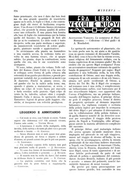 Minerva rassegna internazionale