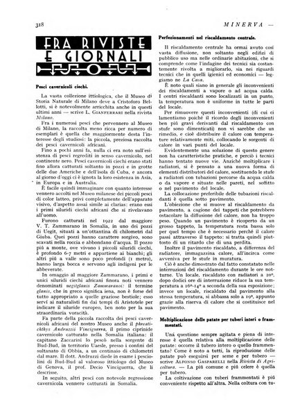 Minerva rassegna internazionale